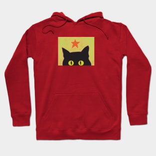 Star Cat Hoodie